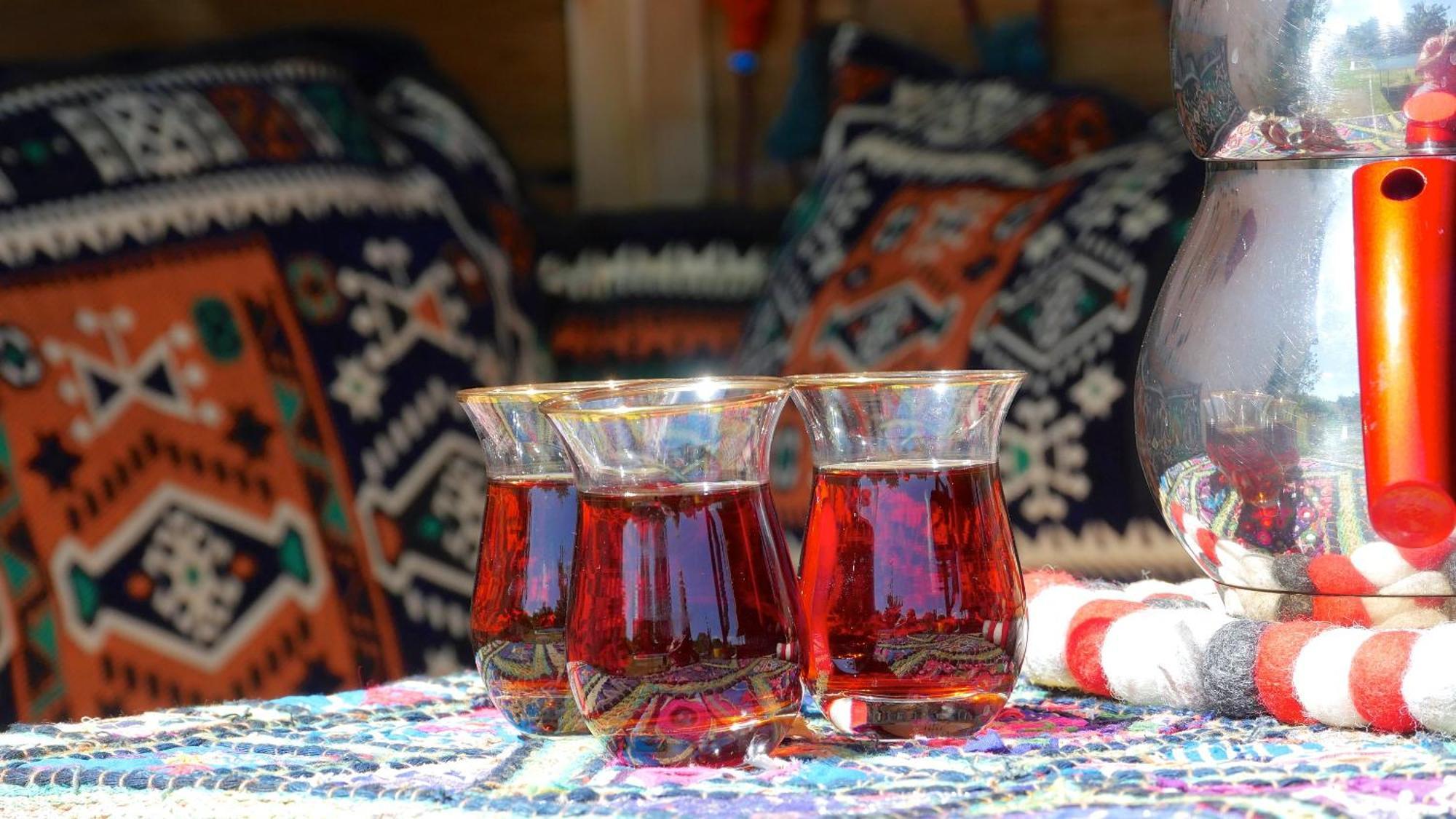 Les Jardins D'Ispahan Prignac-et-Marcamps المظهر الخارجي الصورة
